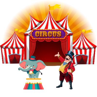 Afbeelding voor evenement Circuskamp groep 1