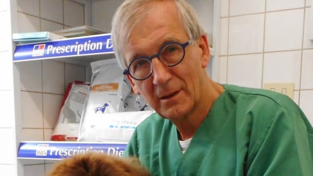 Maartne Jagermeester