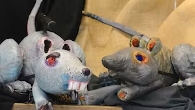 Image for gzbd activity