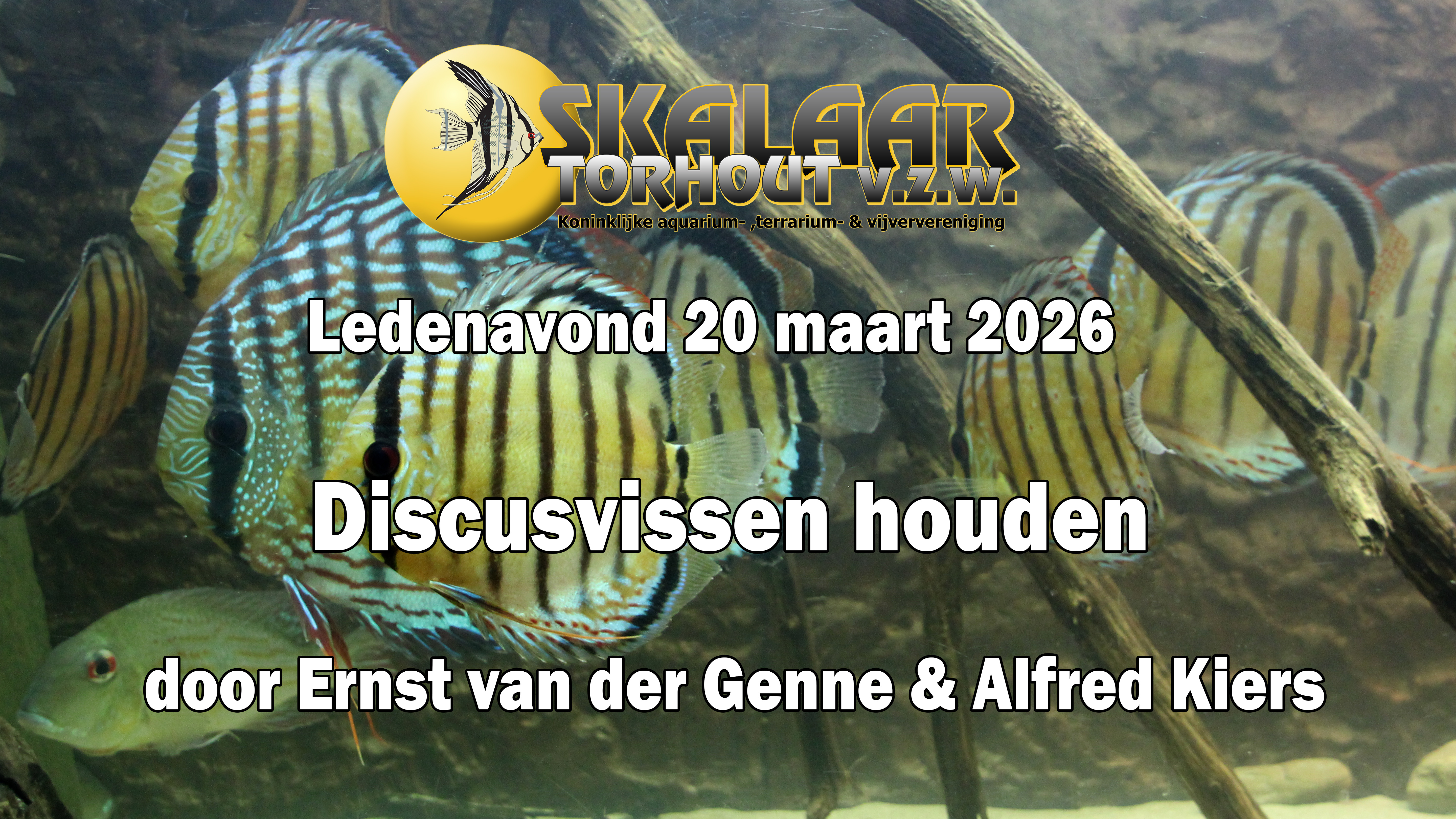 Discusvissen houden door Ernst van der Genne en Alfred Kiers