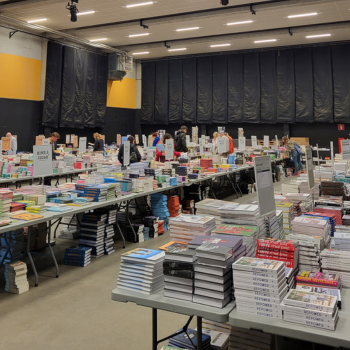 Lannoo's boekenmarkt