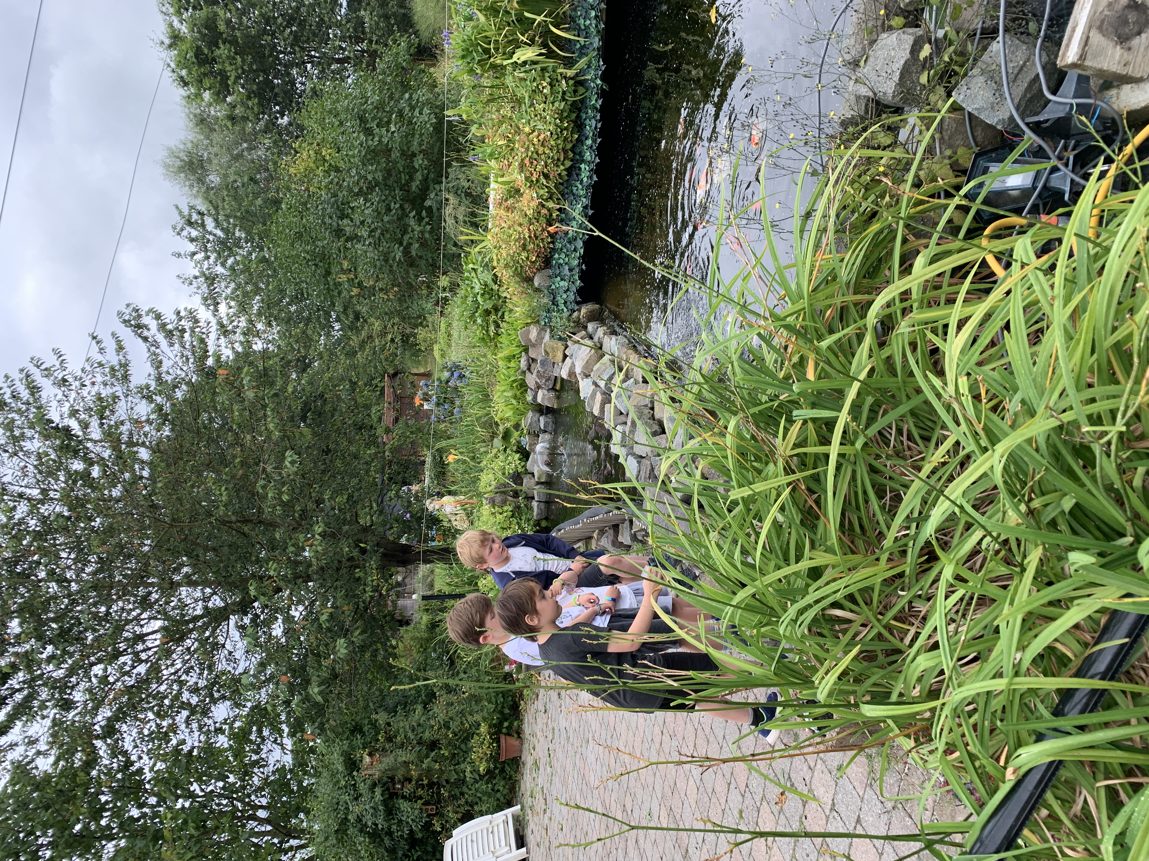 Kikkers spotten bij The Hedge