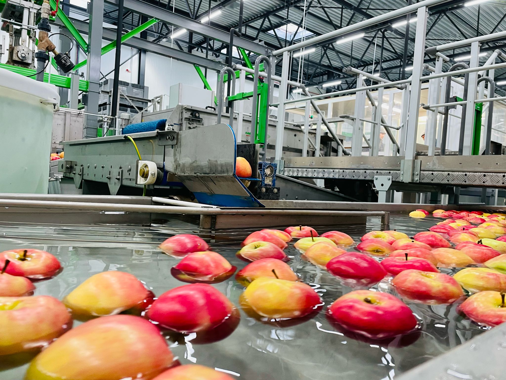 Fruitveiling BelOrta