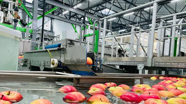 Fruitveiling BelOrta