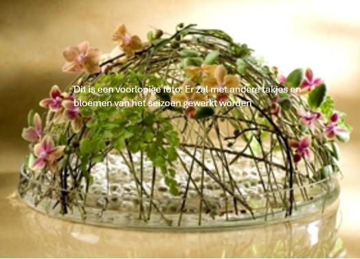 Image for gzbd activity