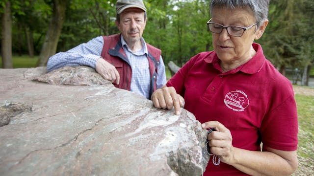 Stenenpad Kattevennen