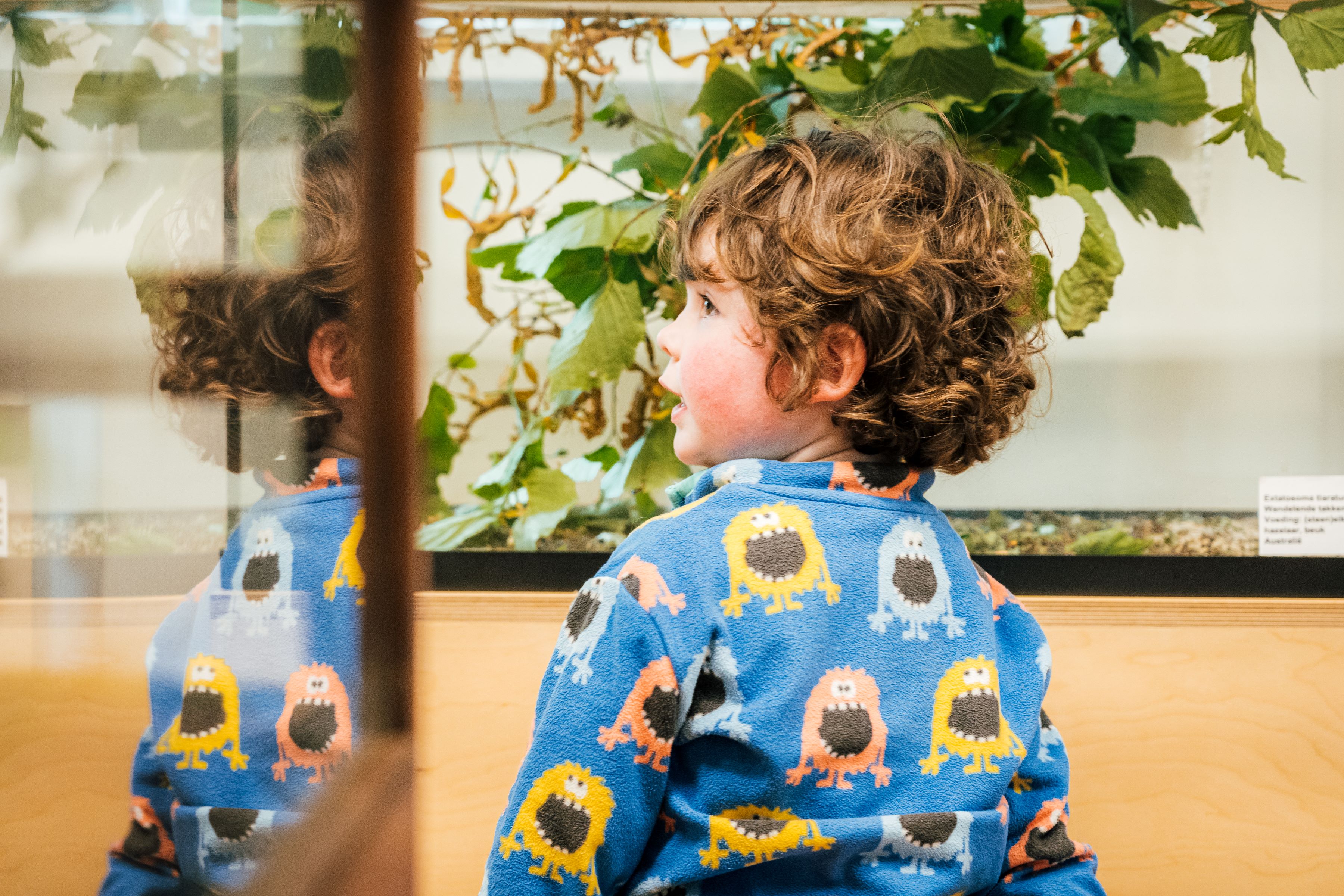 Kina - museum voor kind en natuur