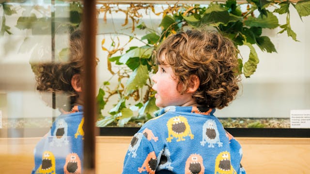 Kina - museum voor kind en natuur