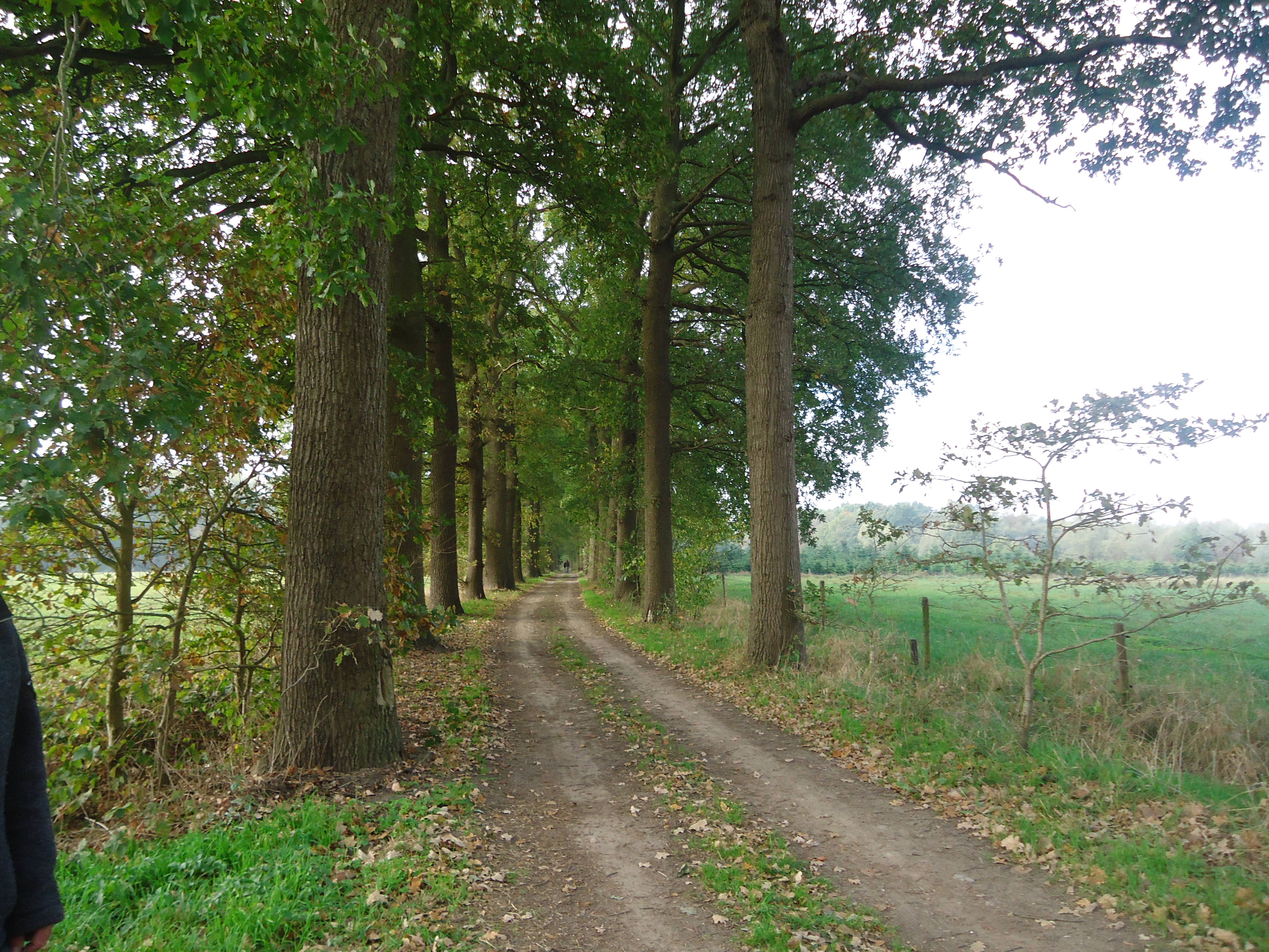 Trage Wegen Klein-Brabant