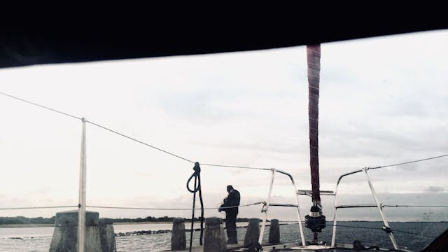 Zijlijn / Linea lateralis - Klankinstallatie van diep onder de zee