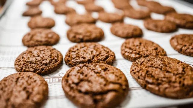 Hasseltse speculaas