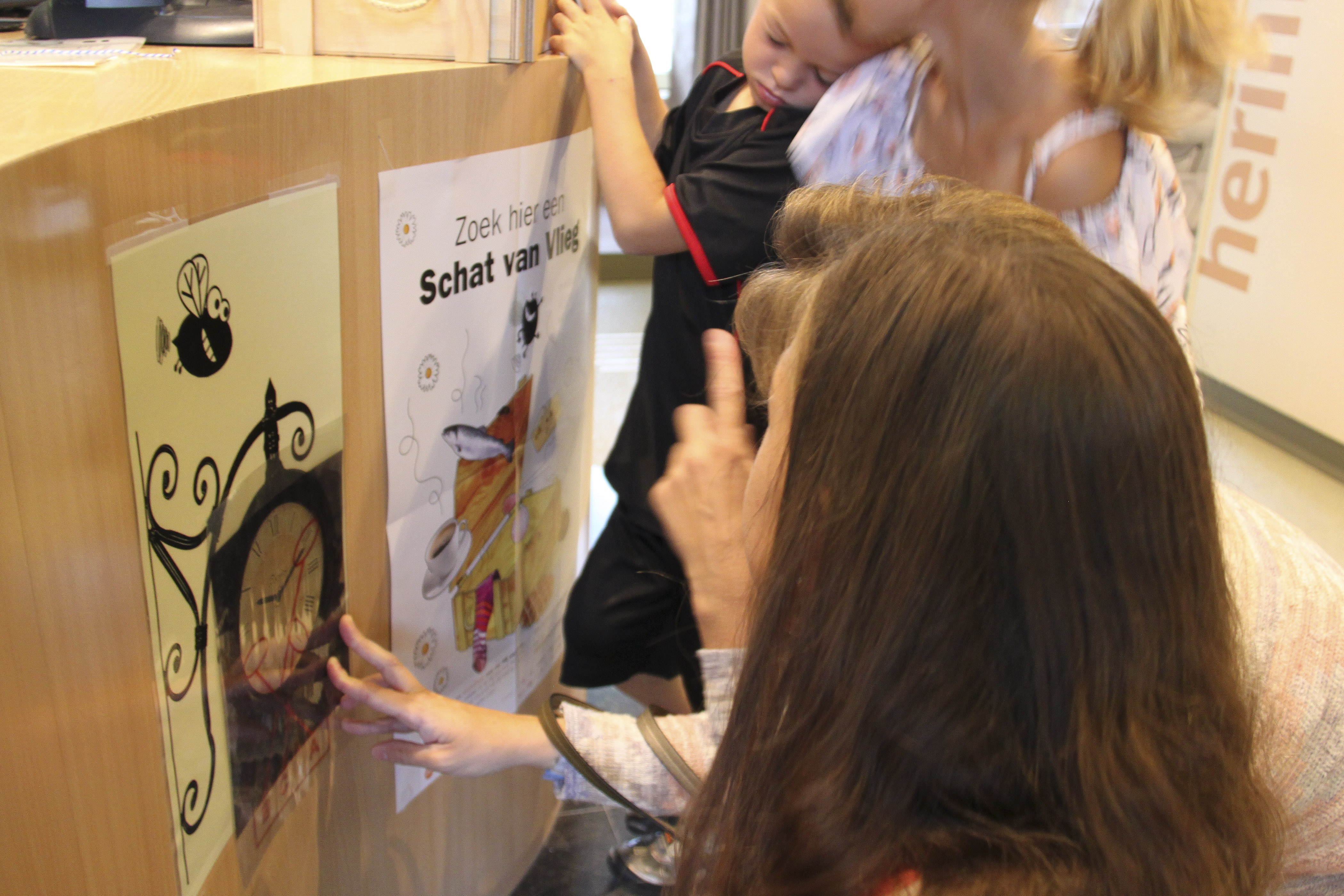 Schatten van Vlieg te Ename