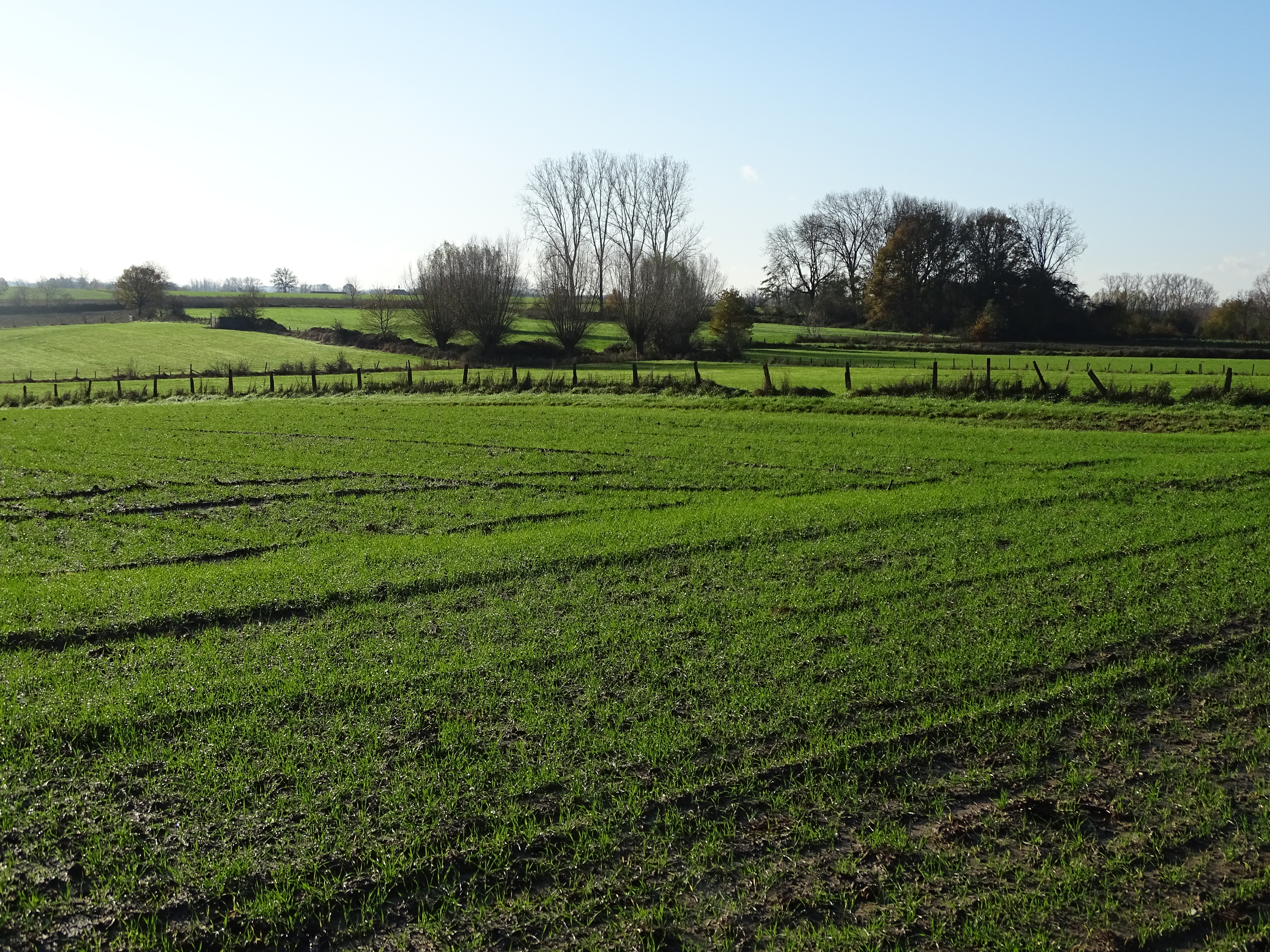Wandelen en zoeken in de Vlaamse Ardennen