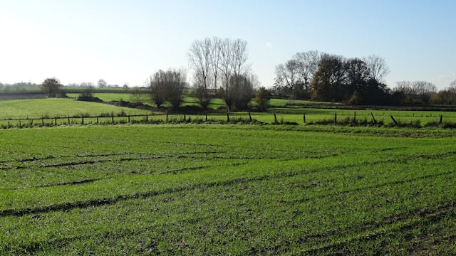 Wandelen en zoeken in de Vlaamse Ardennen