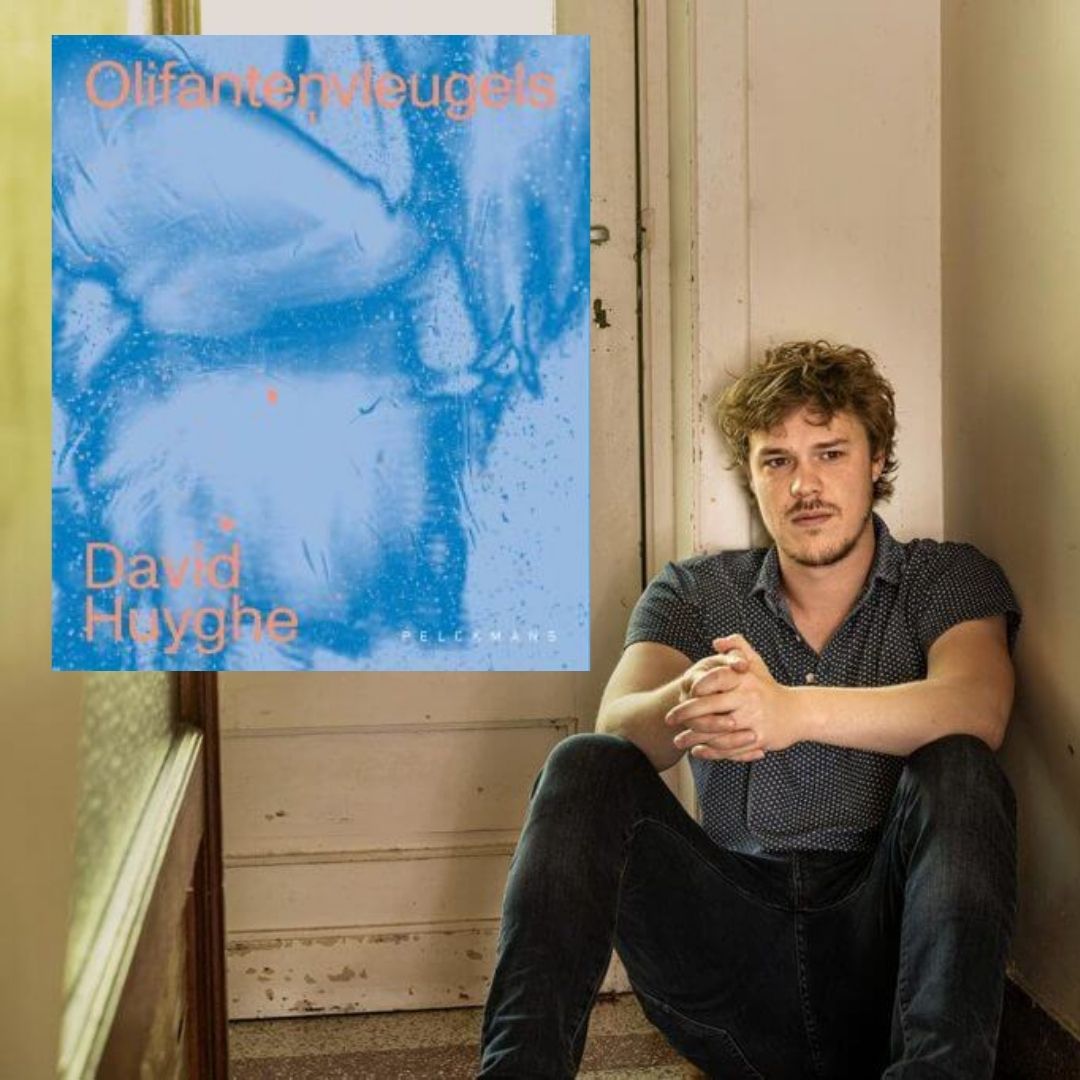 David Huyghe - olifantenvleugels 