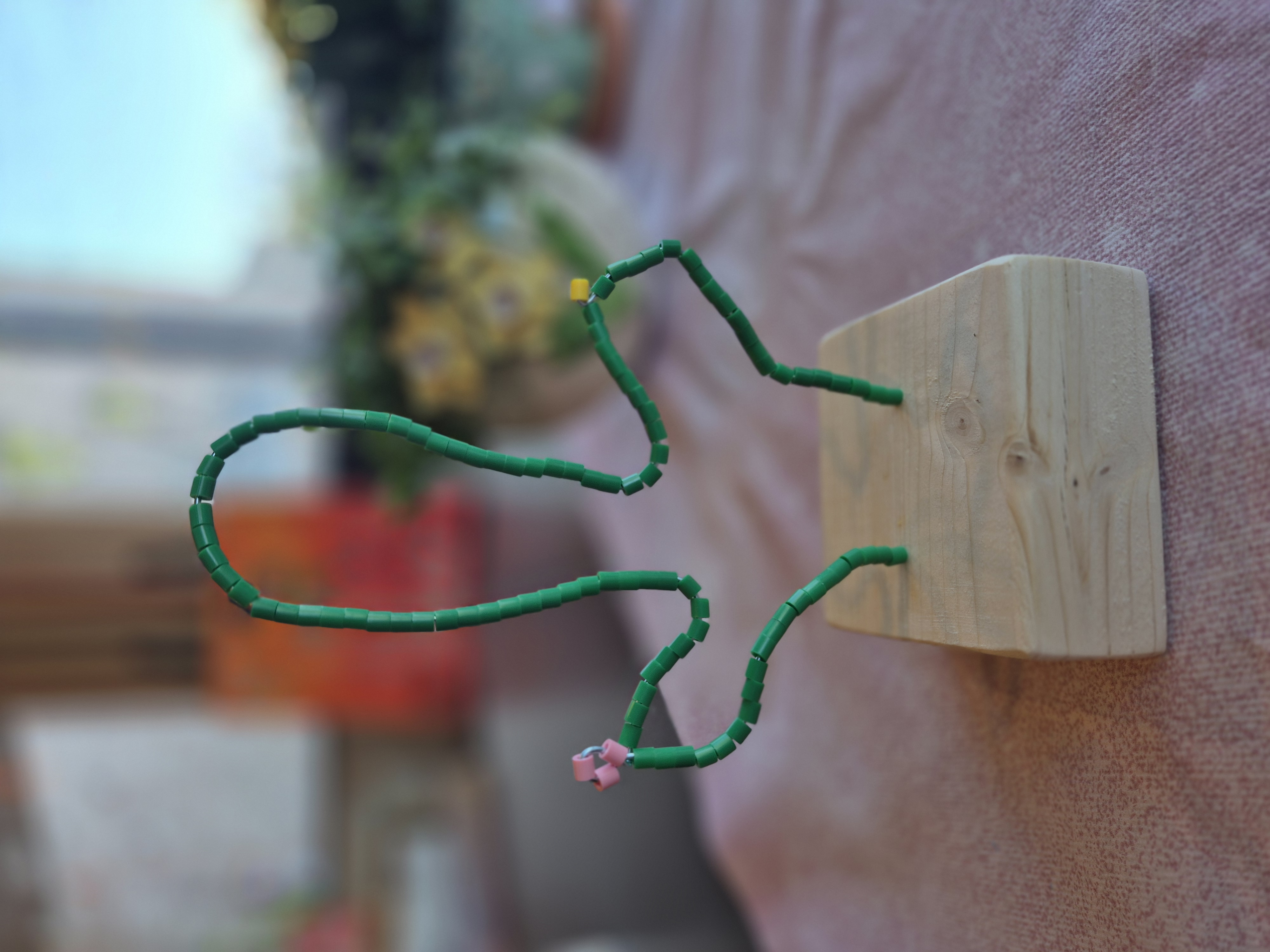 Krokusworkshop: Een cactus zonder stekels