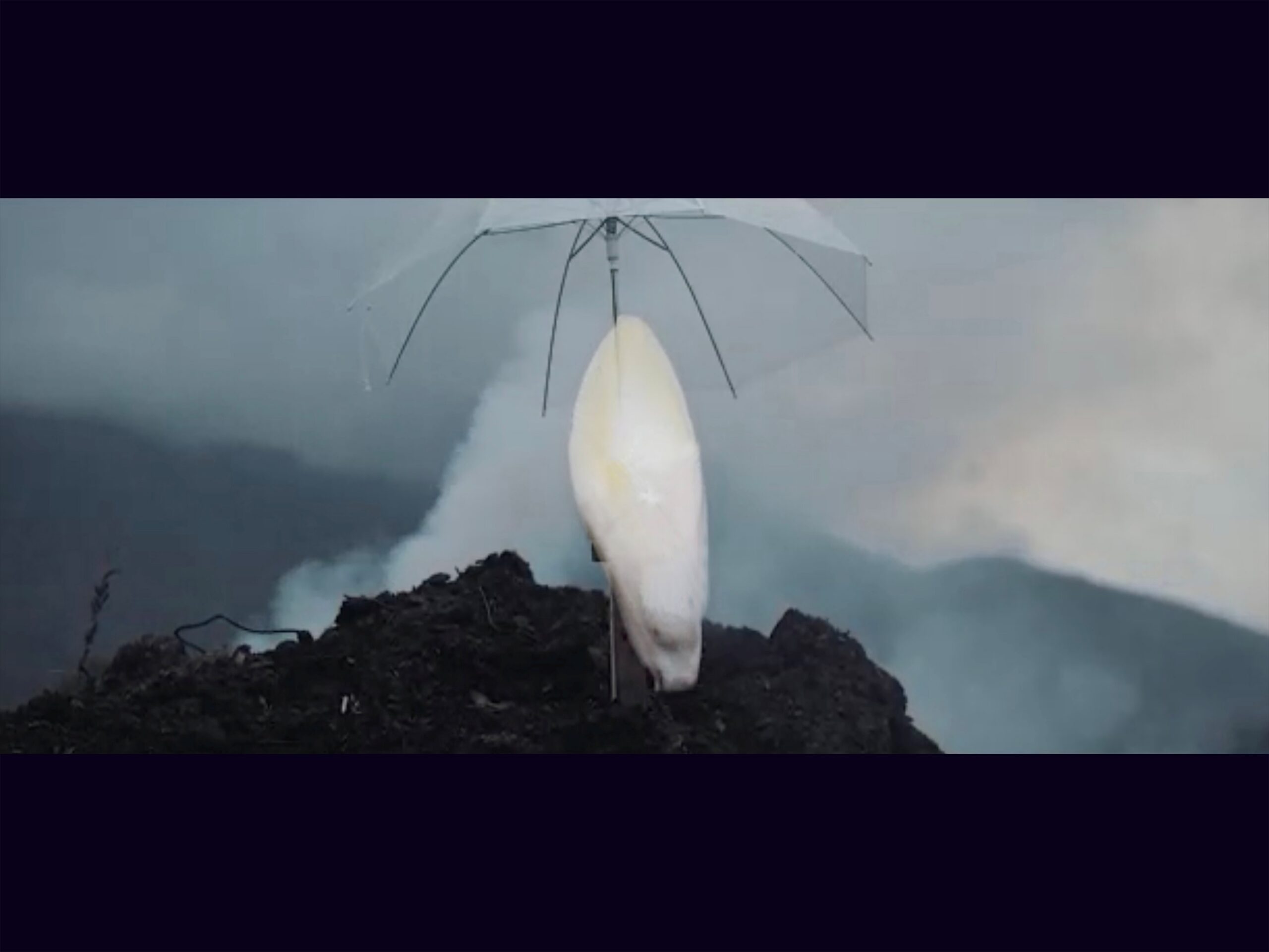 Grégoire Motte – ‘De Nacht van Witloof’