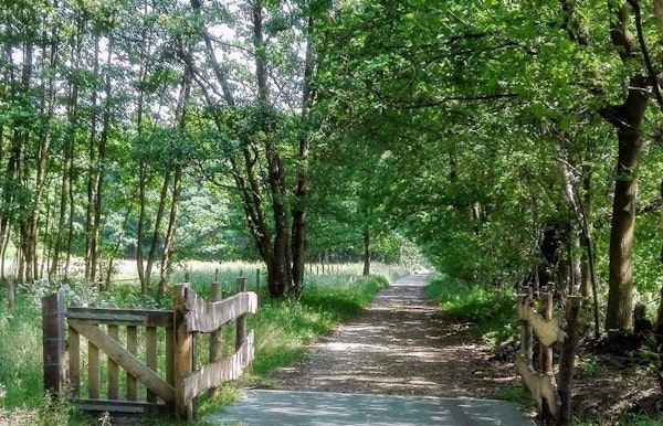 De Stiemerbeek - Hornszee