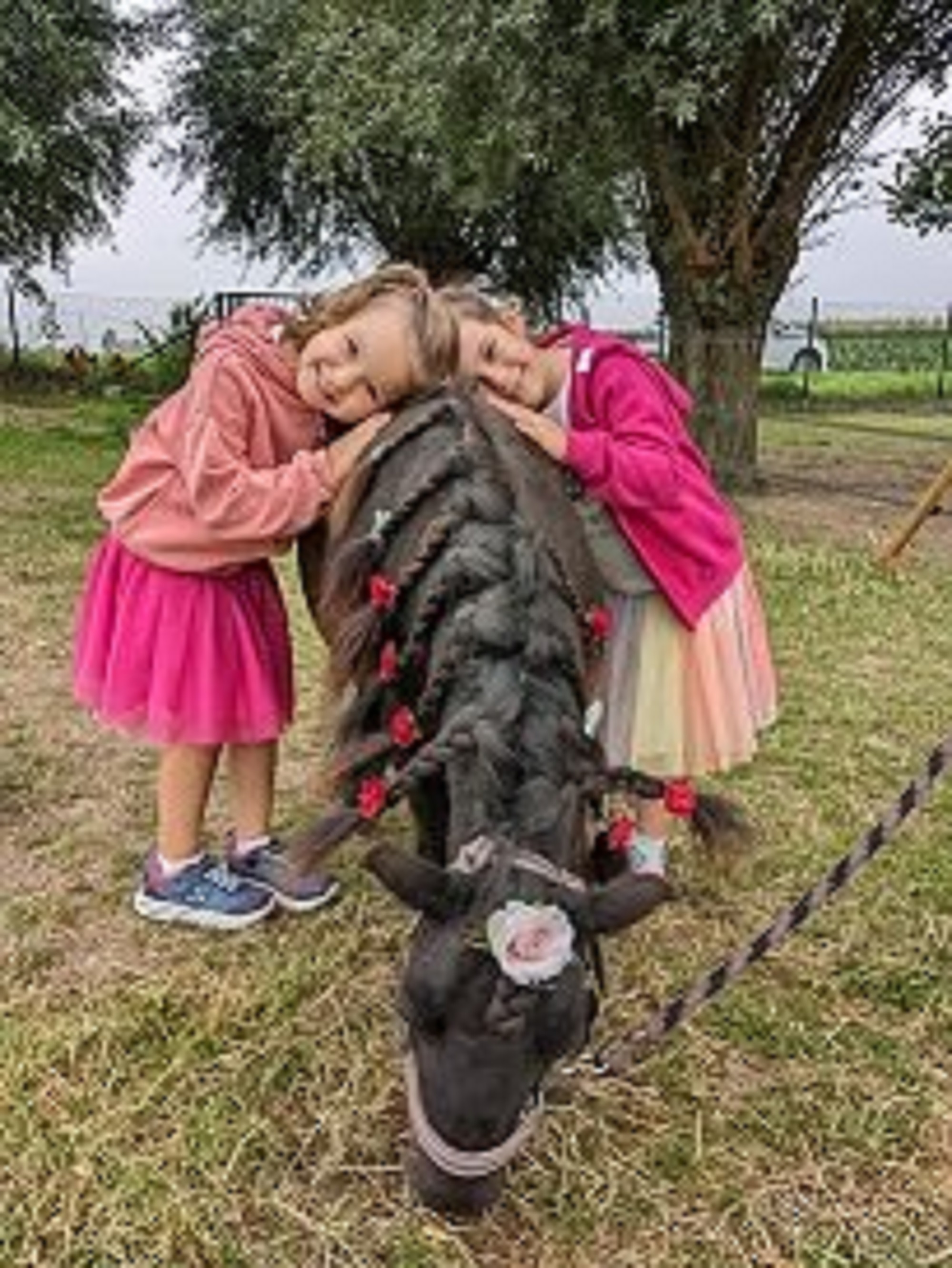 Plezier op De Ponyweide