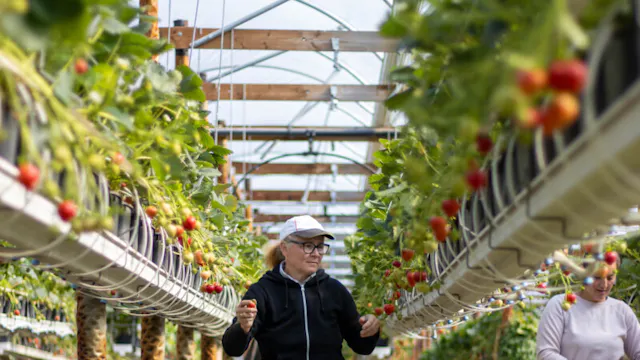 Fruitbedrijf Wilderhof