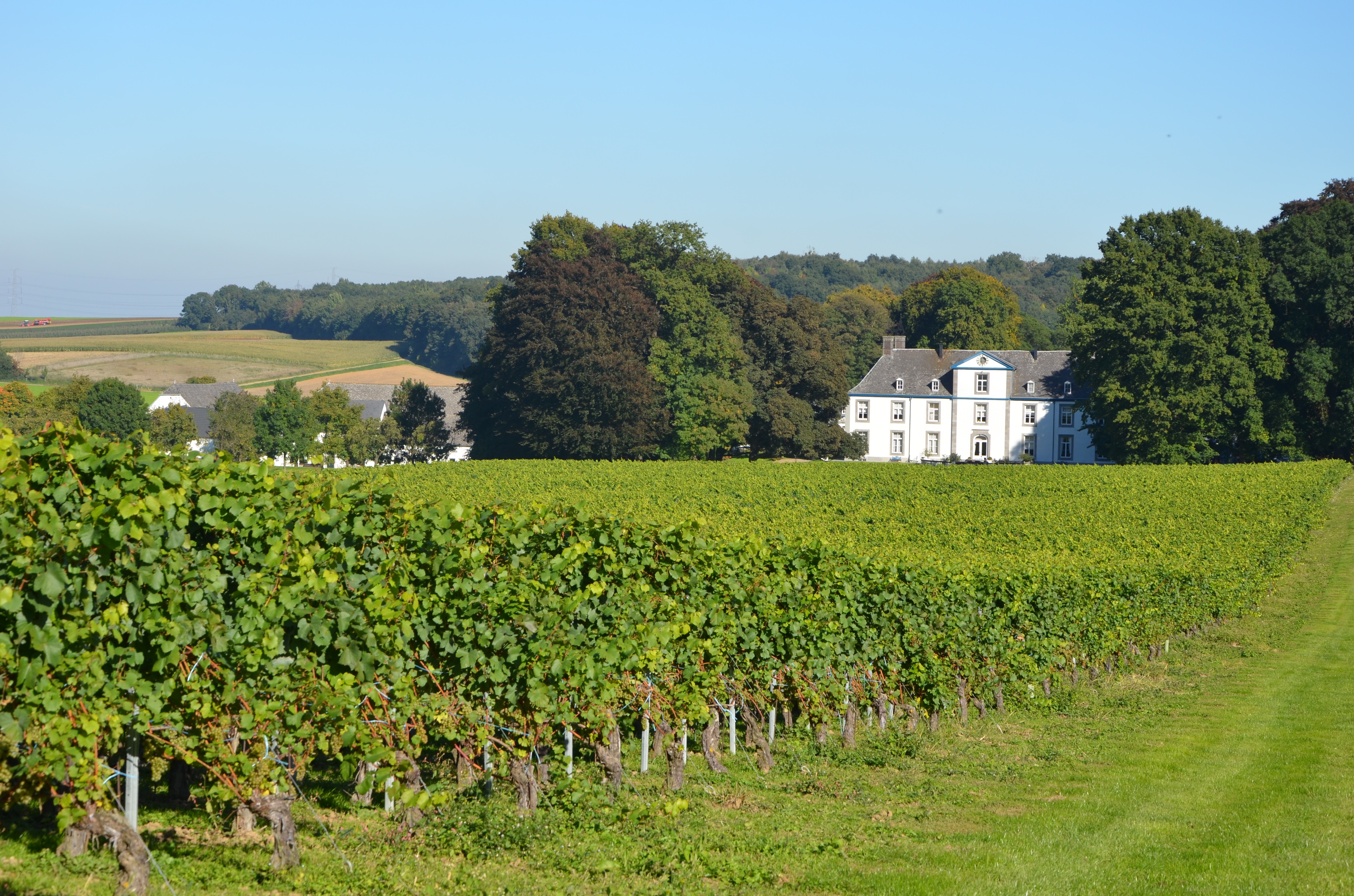 Wijnkasteel Genoels-Elderen