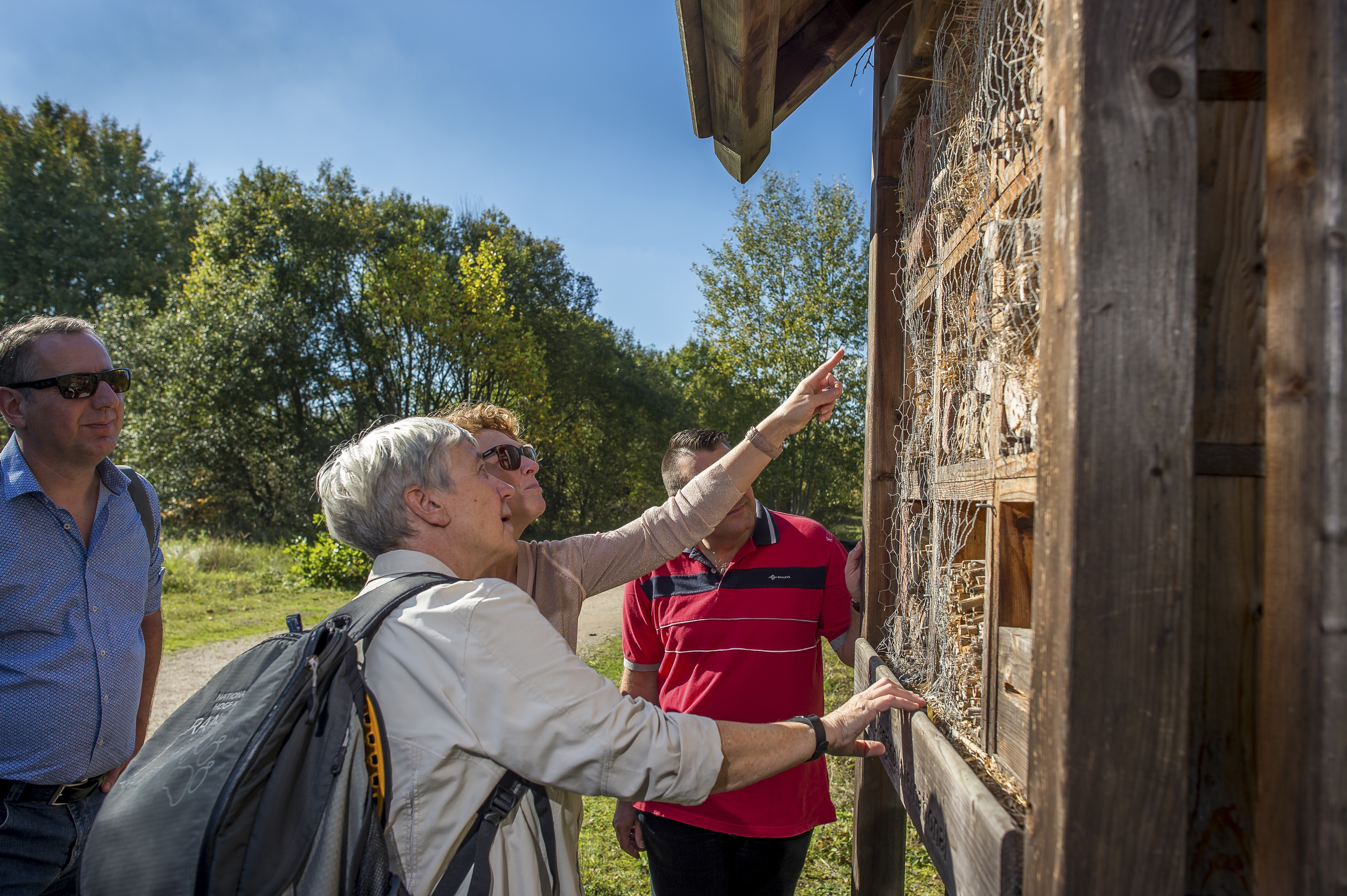 Gezondheidswandeling