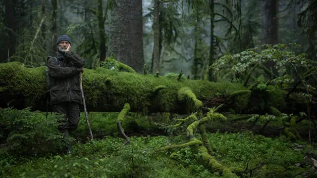 Le chant des forêts - Vincent Munier