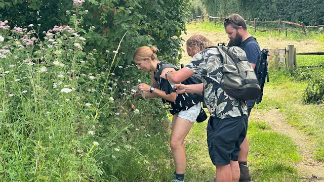 Wandeling ObsIdentify