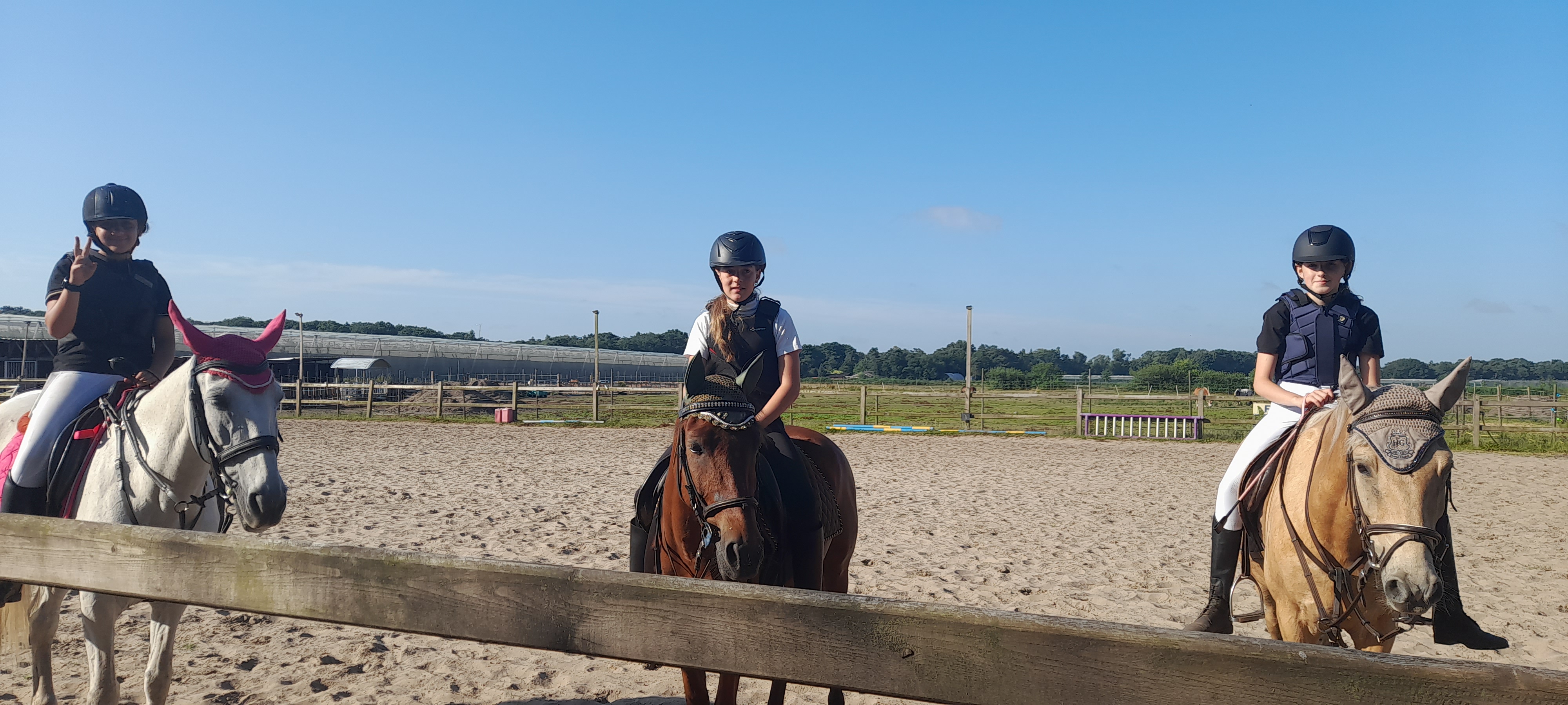 eind foto dressuur wedstrijd op 't Vijverke juni 2025