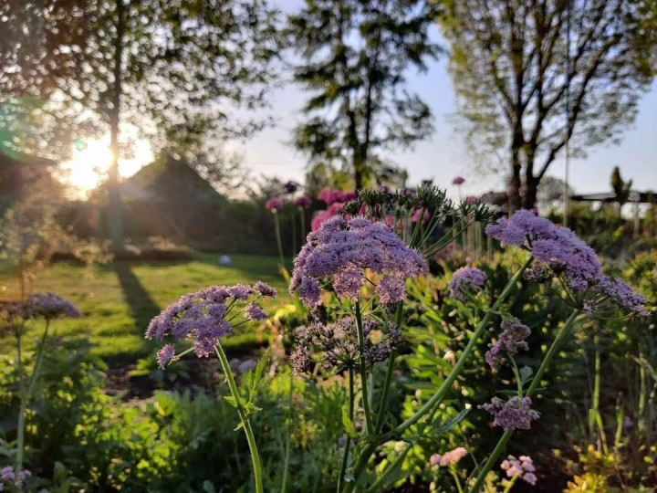 Tuin Bart en Wendy Boonen-Ras