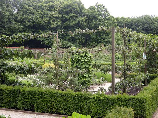 Kruidentuin Tudor