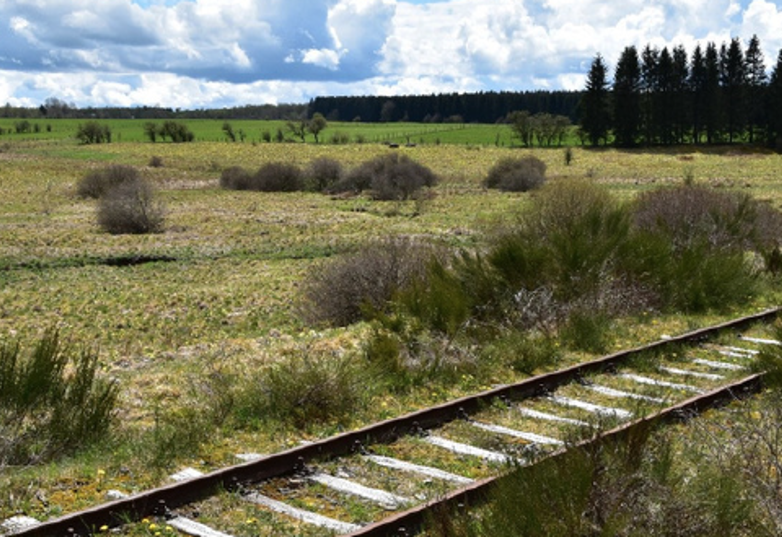 Spoor Duitstalig België