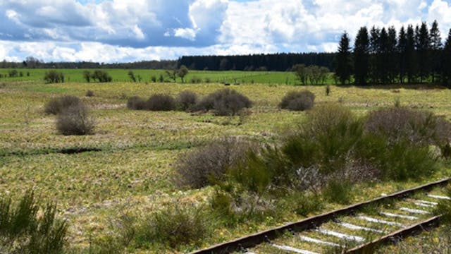 Spoor Duitstalig België