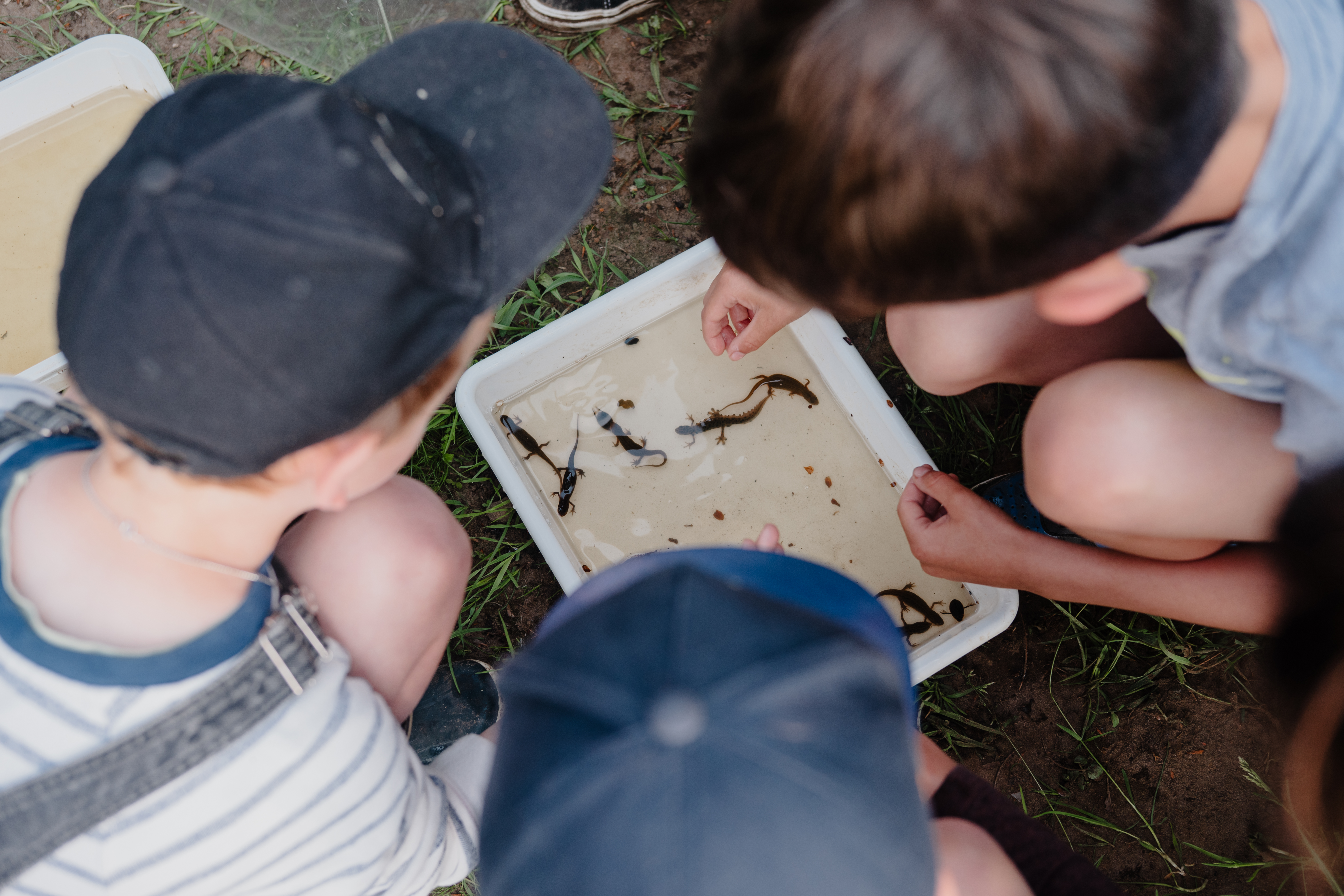 Op zoek naar de waterdraak van de bolle akkers