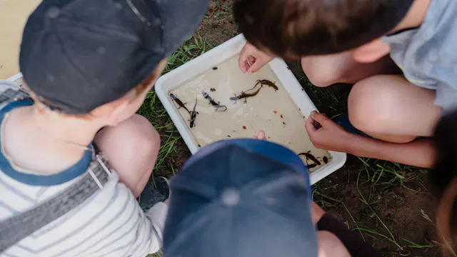 Op zoek naar de waterdraak van de bolle akkers