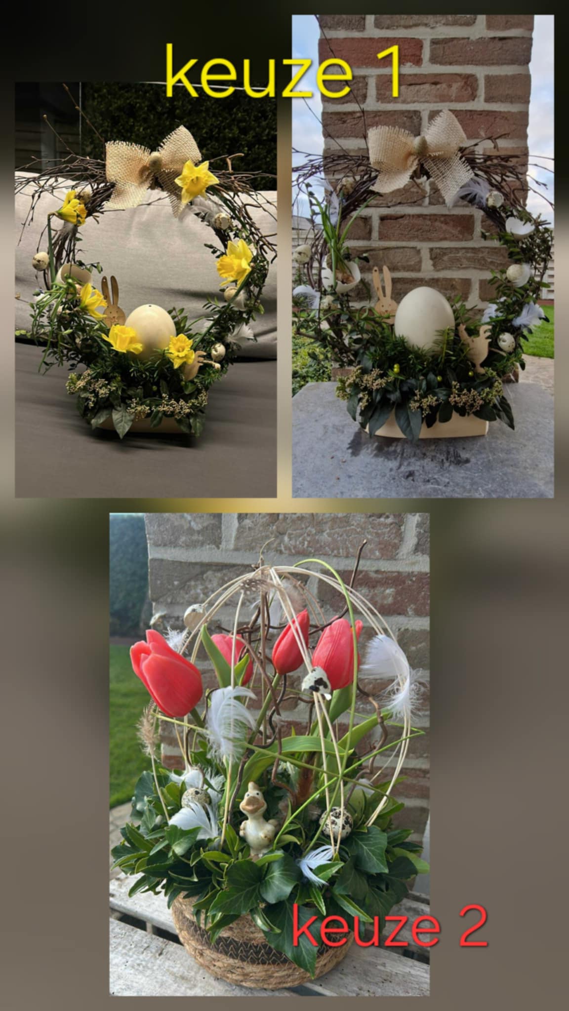 Image for gzbd activity