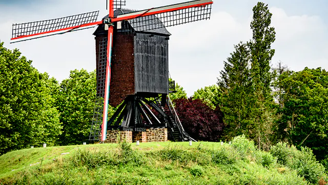 Lindenmolen in Diest