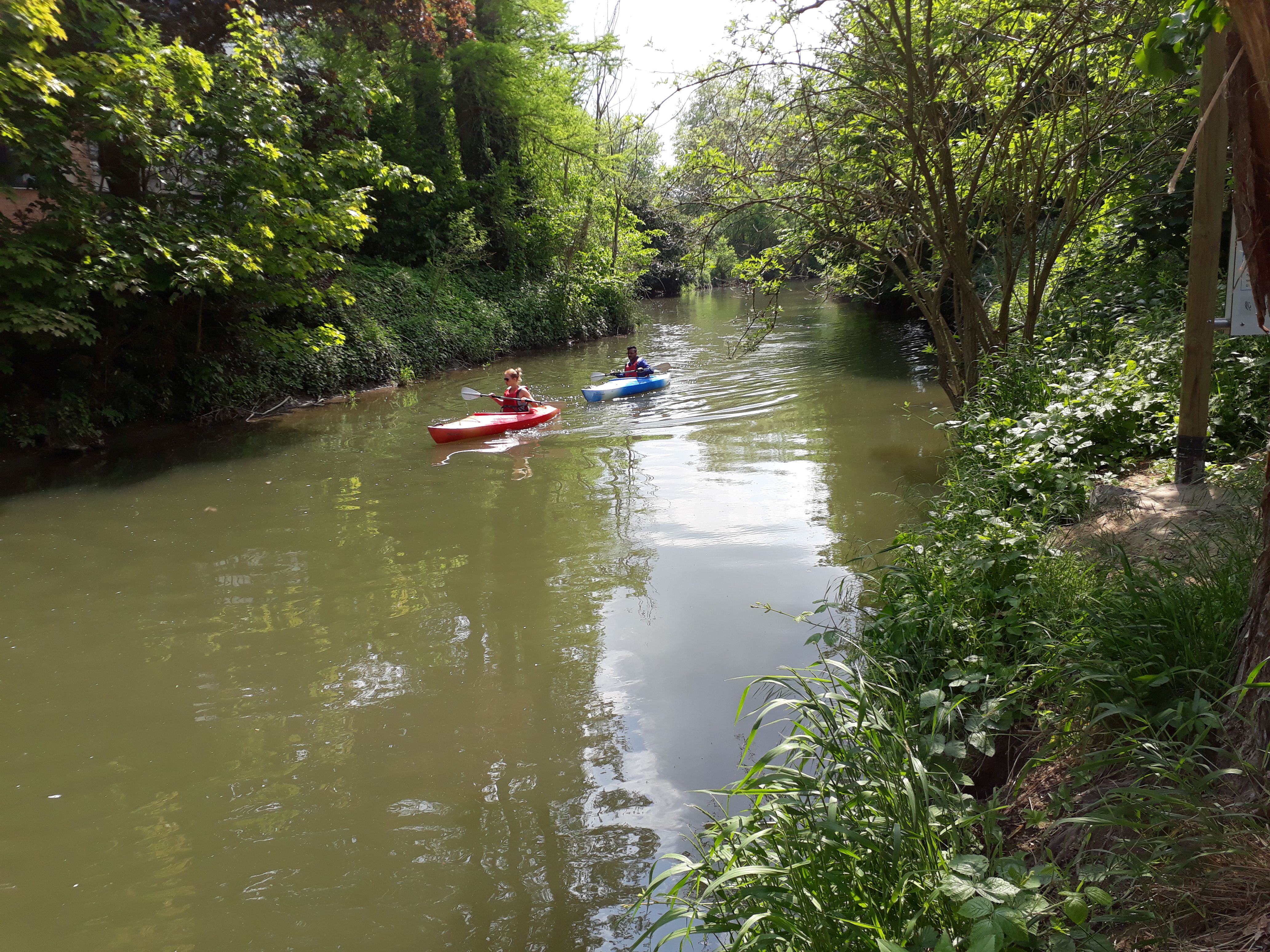 Kayak op de Dijle