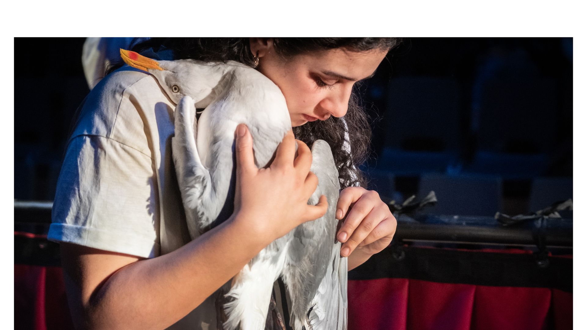 [meeuw] - Toneelhuis, Olympique Dramatique, theater arsenaal