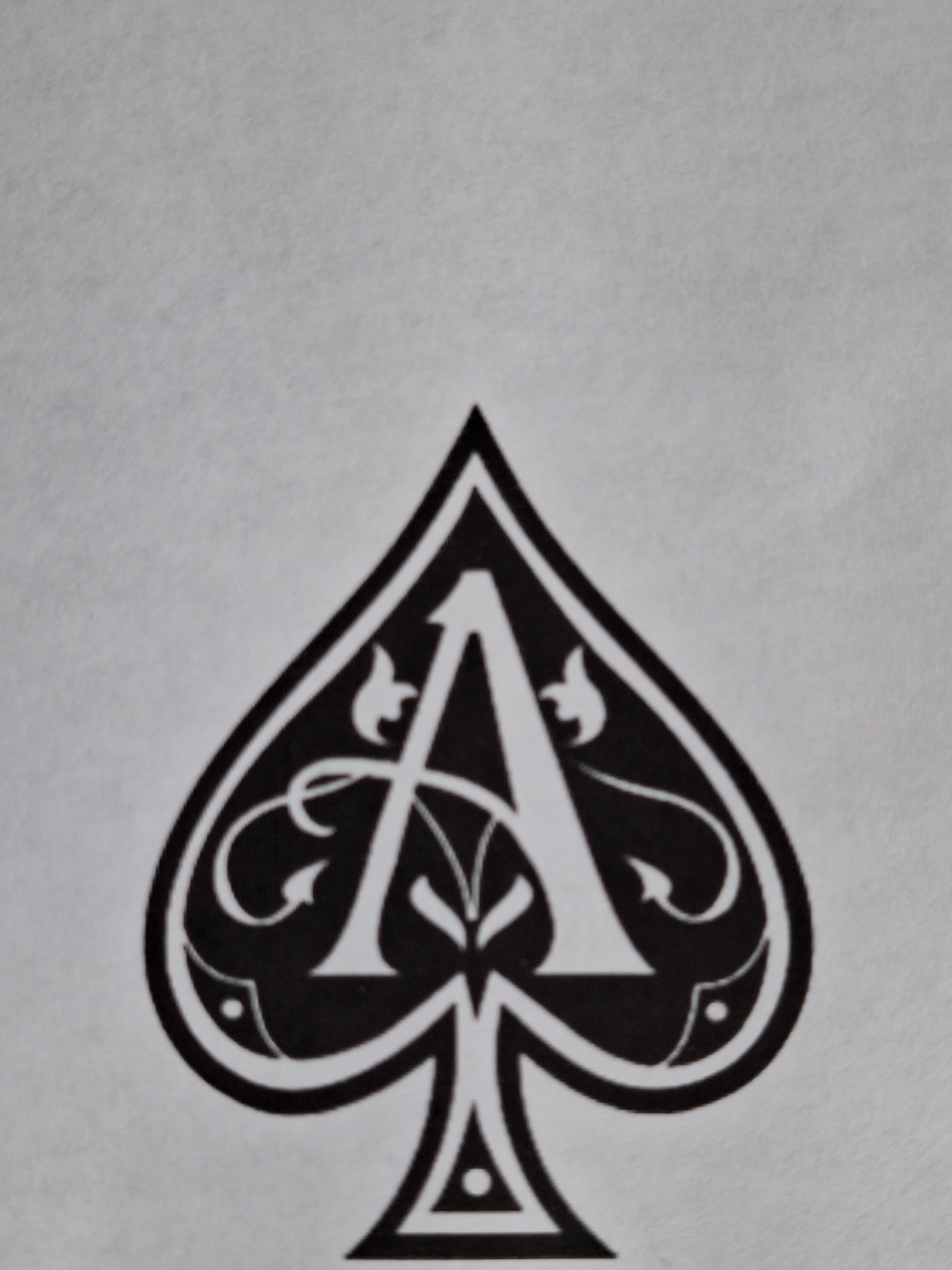 Logo SchuppenaaS