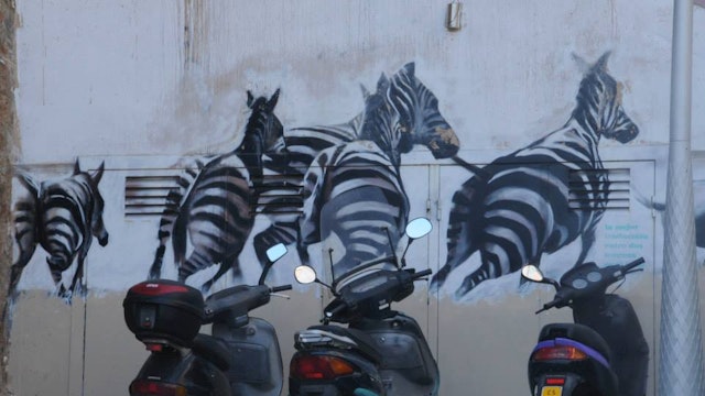 Zebra wall