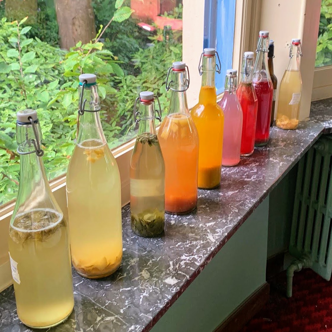 Regenboogkleuren Kombucha