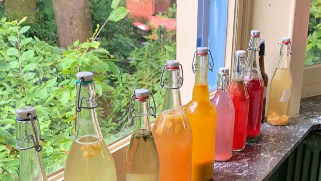 Regenboogkleuren Kombucha