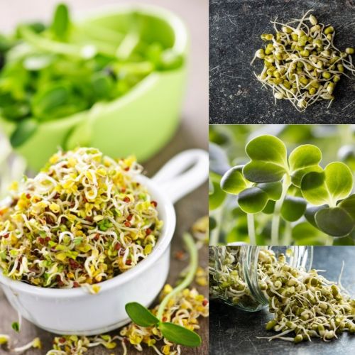 collage van verschillende kiemgroenten