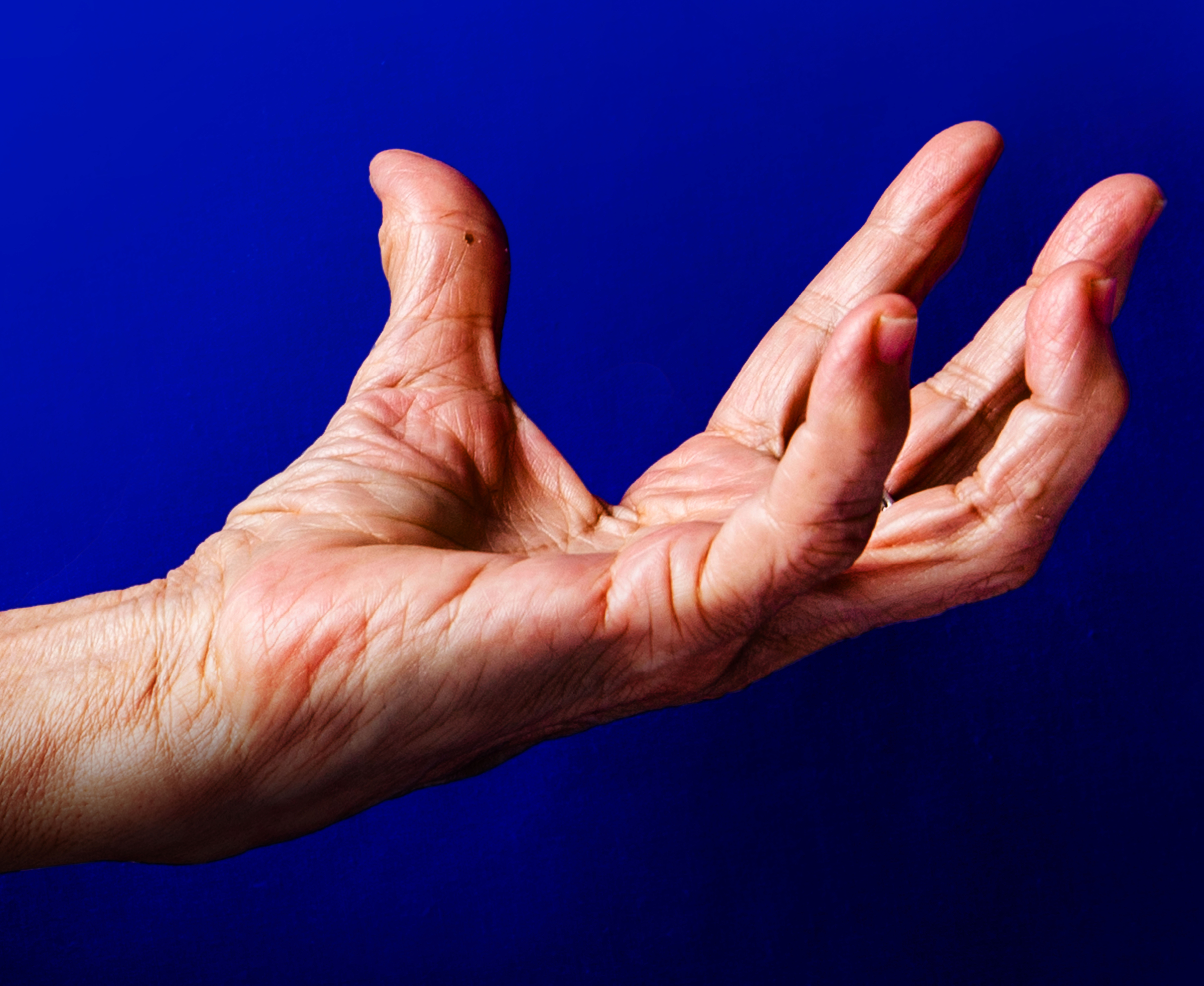 Jesse Jones - de hand van feministische wetenschapper Silvia Federici