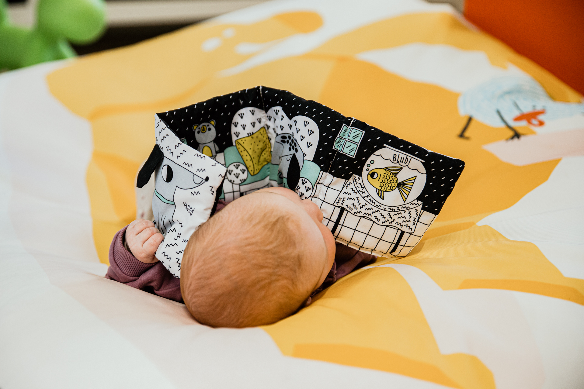 Boekstartvoorleesmomentje