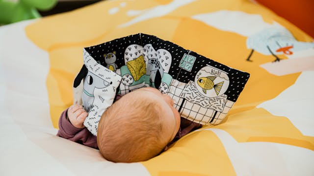 Boekstartvoorleesmomentje