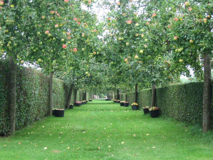 Appeldreef Marcus Ghekiere