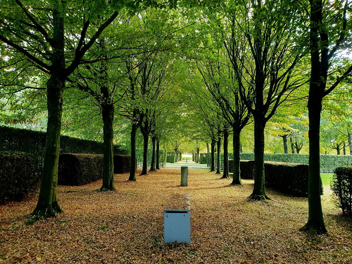 Parkbegraafplaats