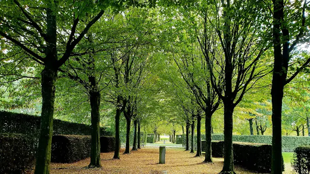Parkbegraafplaats
